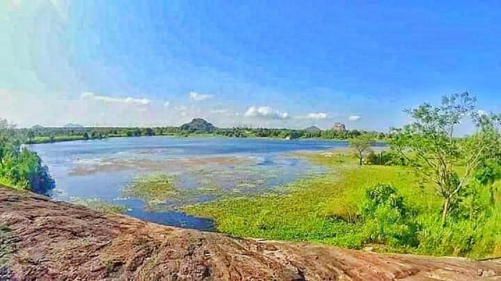 Sigiri Lake Paradise Sigirîya Extérieur photo