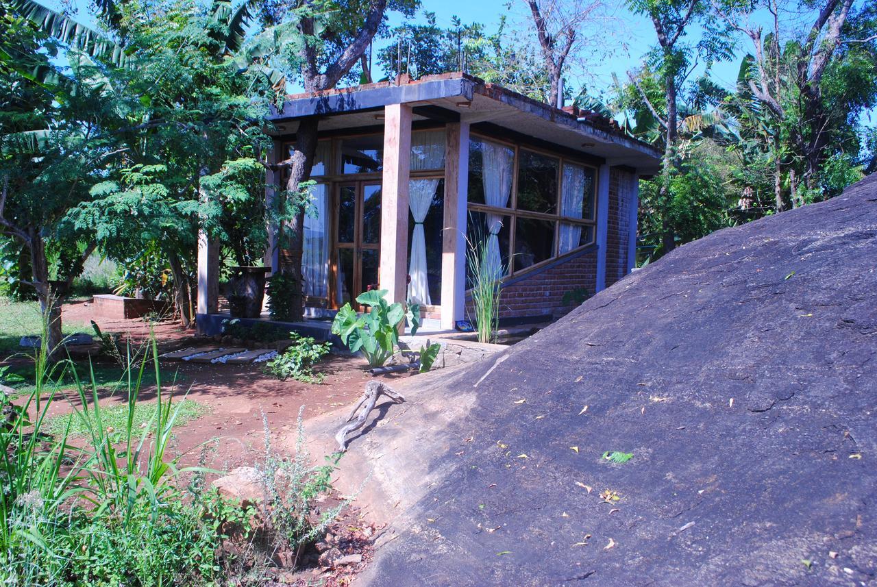 Sigiri Lake Paradise Sigirîya Extérieur photo