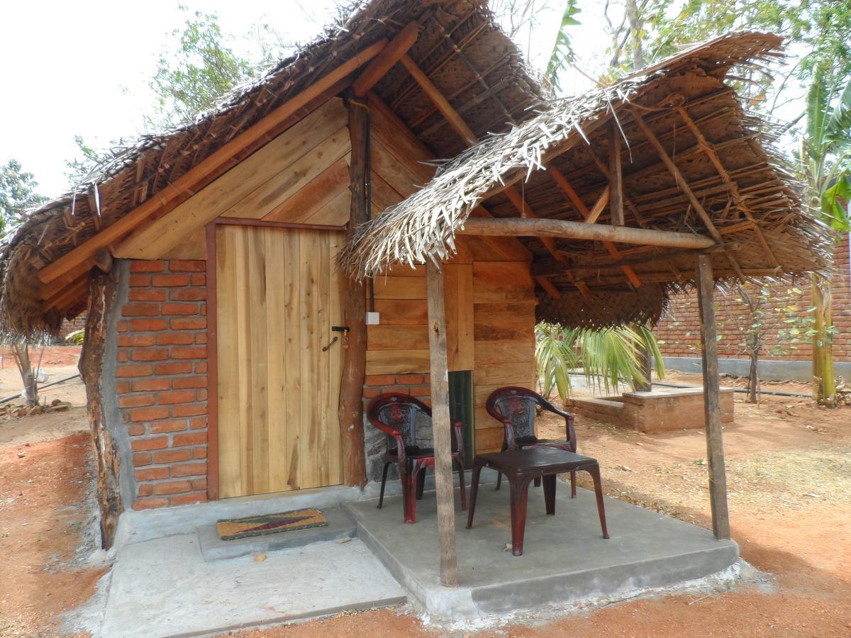 Sigiri Lake Paradise Sigirîya Extérieur photo