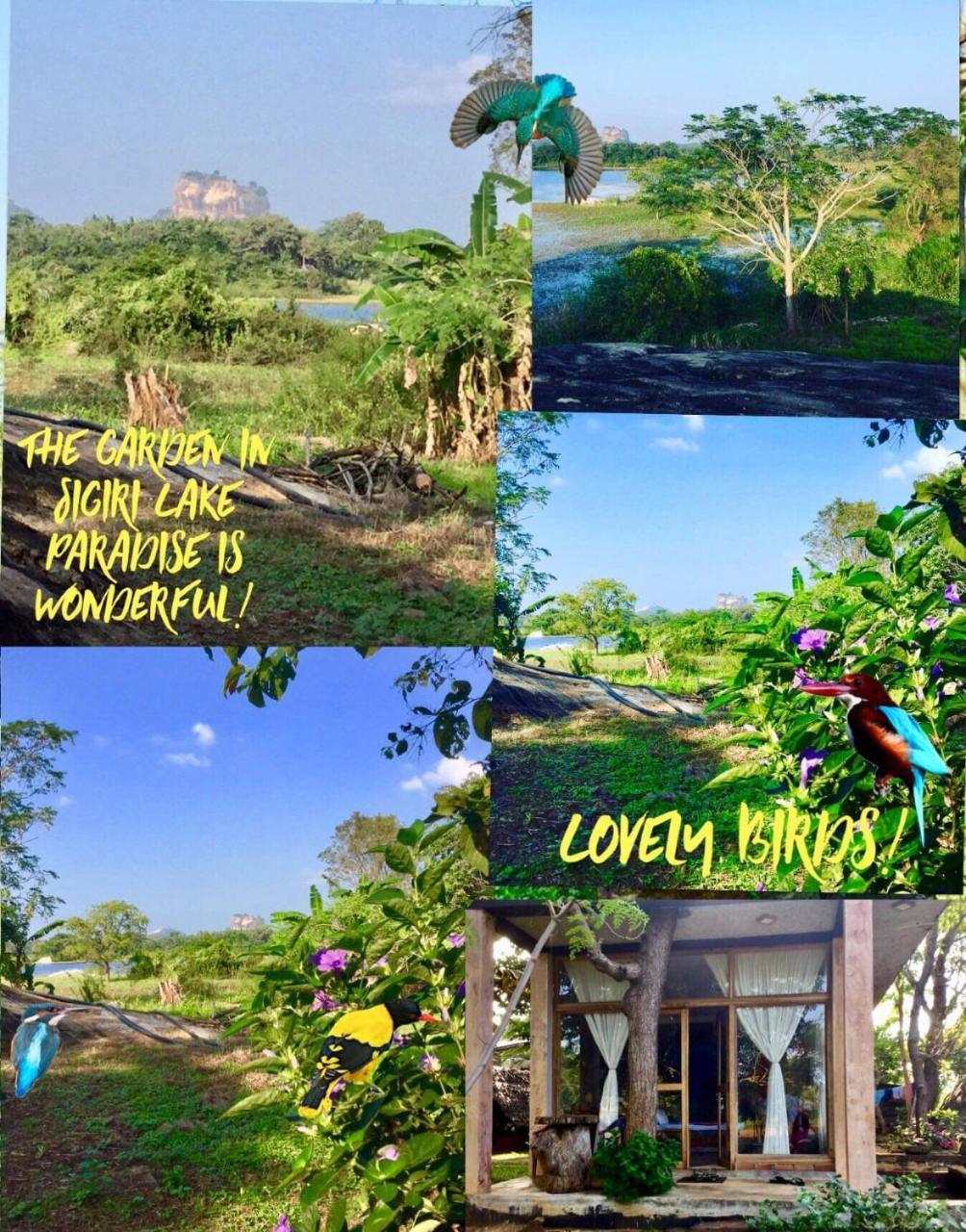 Sigiri Lake Paradise Sigirîya Extérieur photo