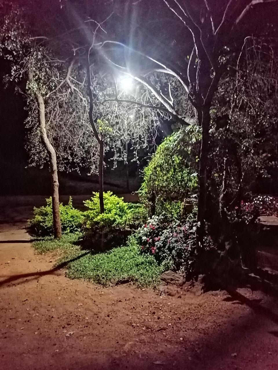 Sigiri Lake Paradise Sigirîya Extérieur photo